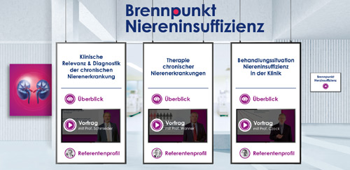 Brennpunkt Niereninsuffizienz